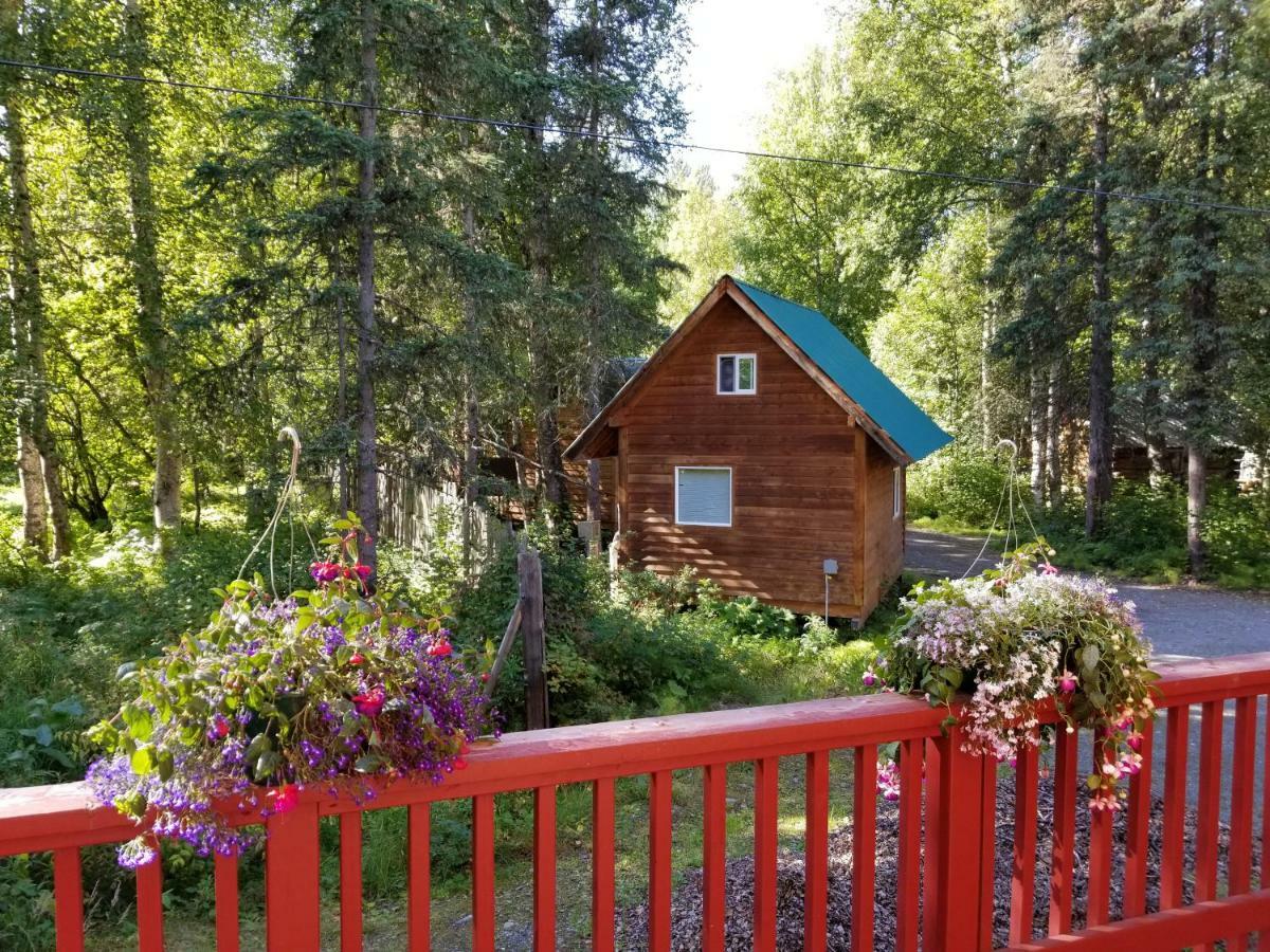 Talkeetna Hideaway Hotel Екстериор снимка