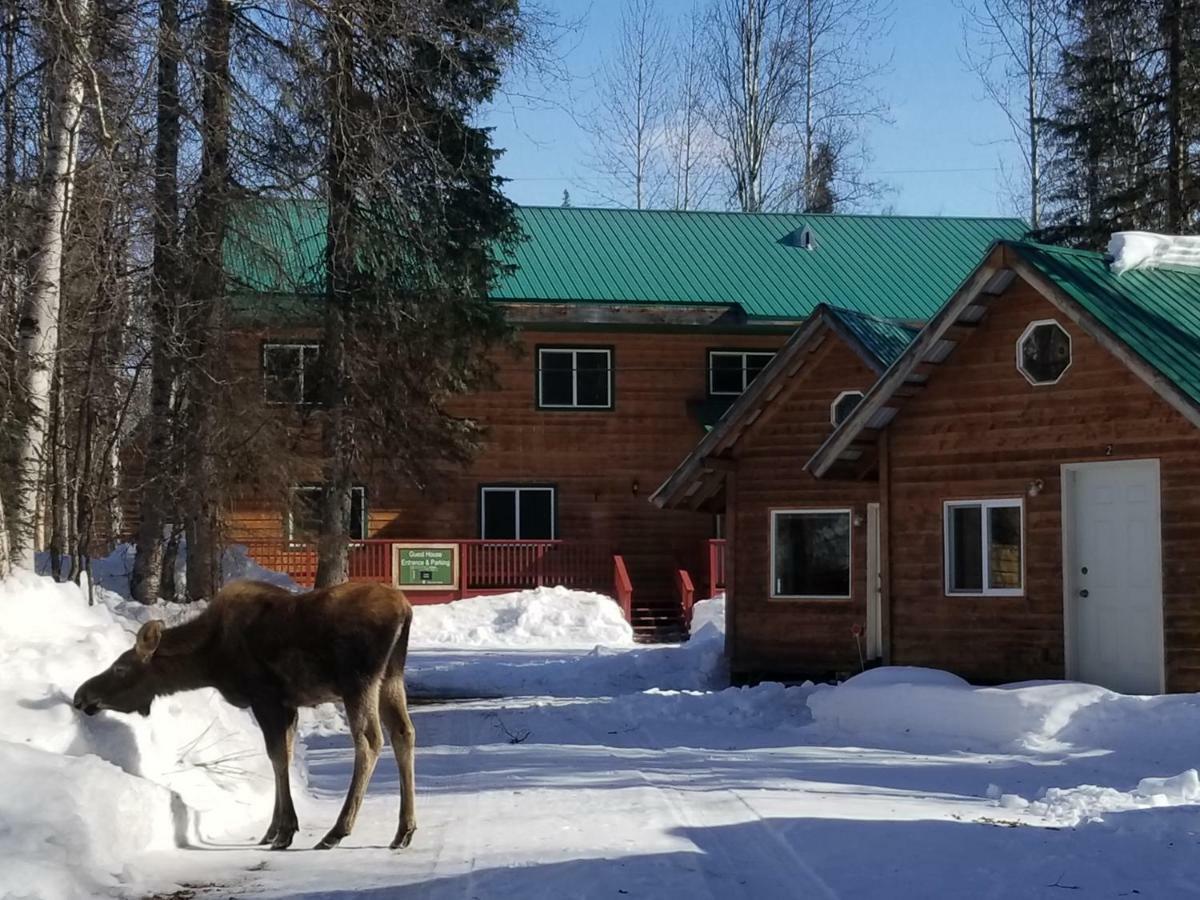 Talkeetna Hideaway Hotel Екстериор снимка